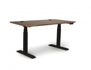 Invigo Customizable Sit Stand Desk by Copeland